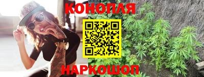 гидропоника Краснознаменск